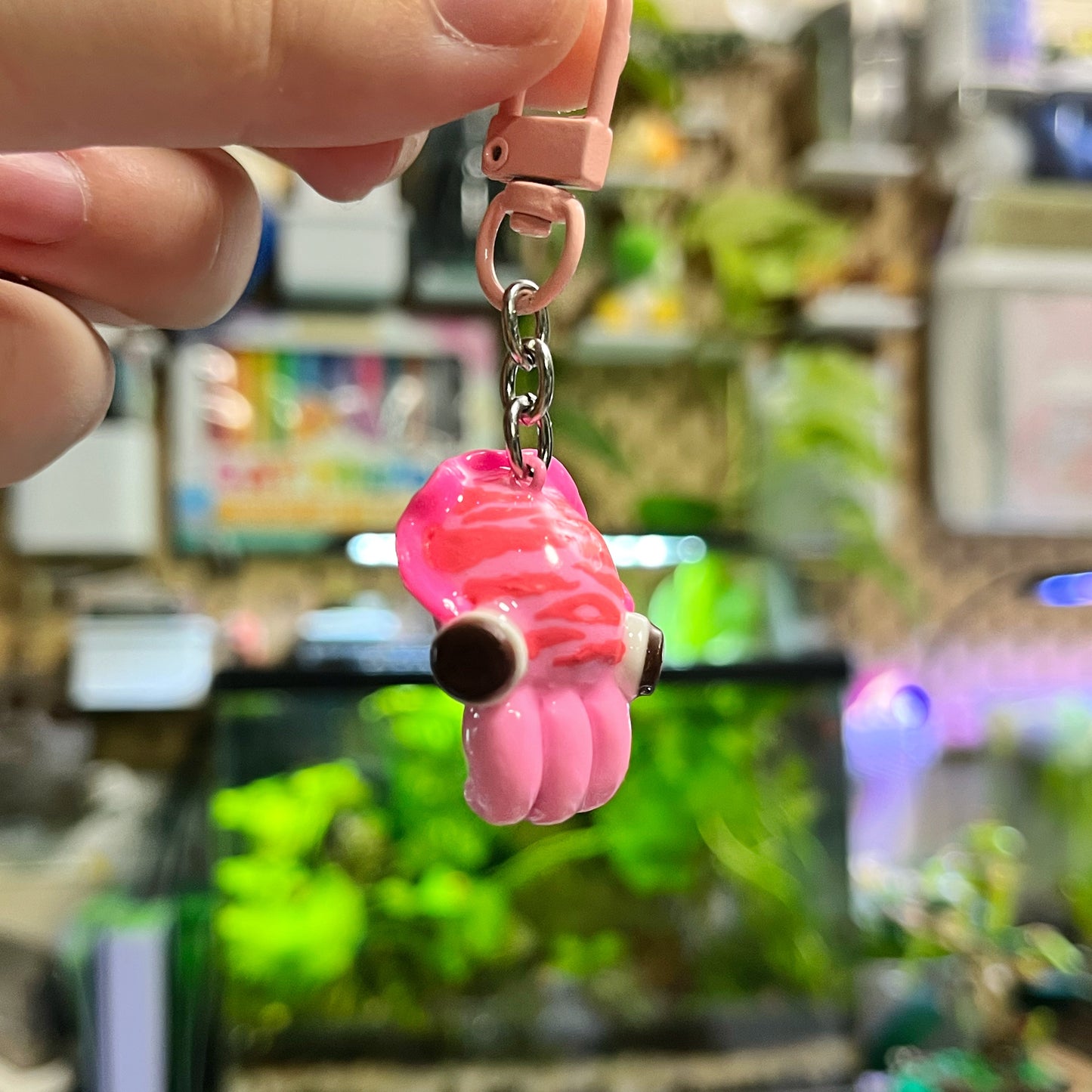 Cuddle Fish🦑