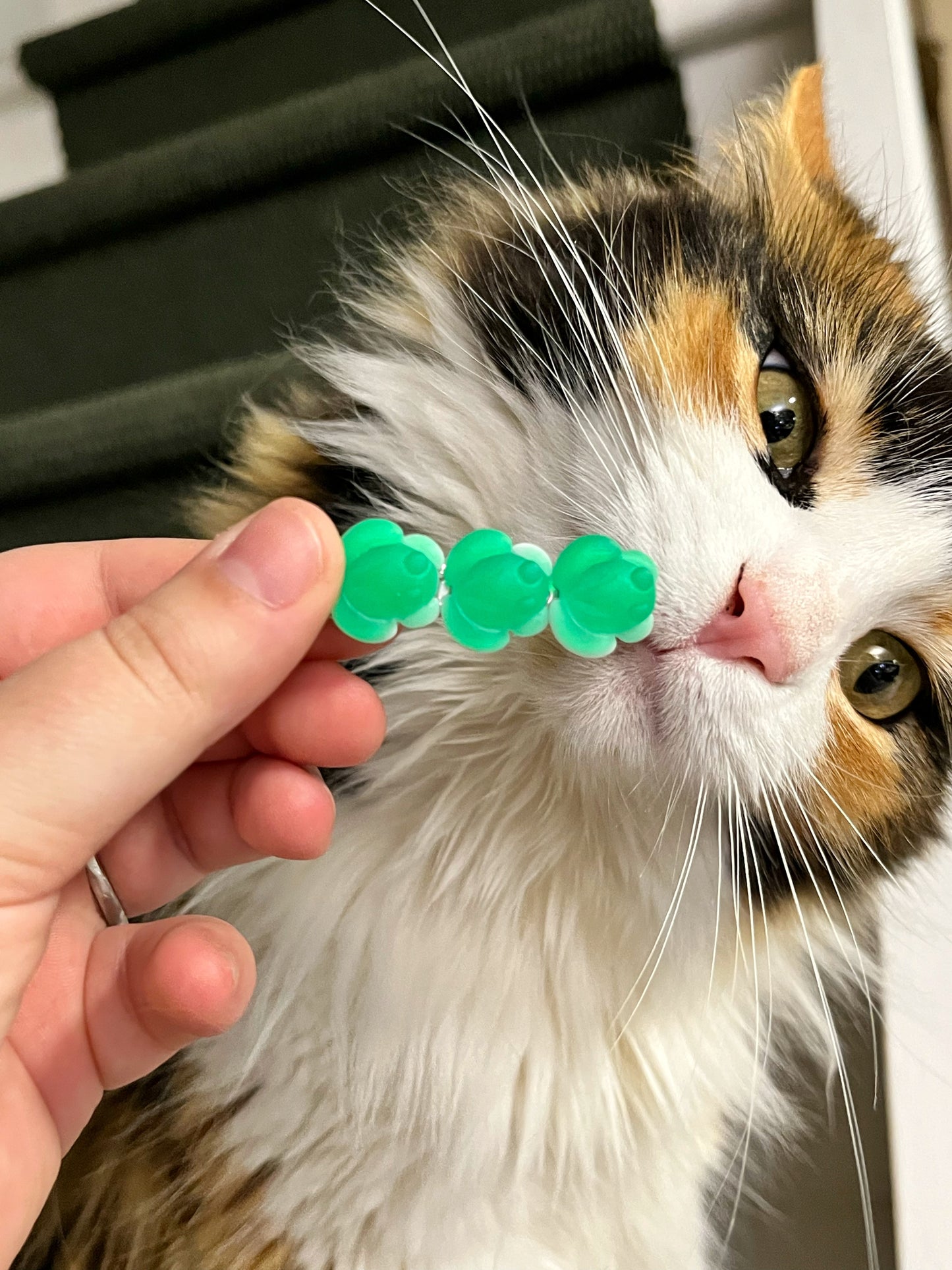 Gummy Frog Hairclip