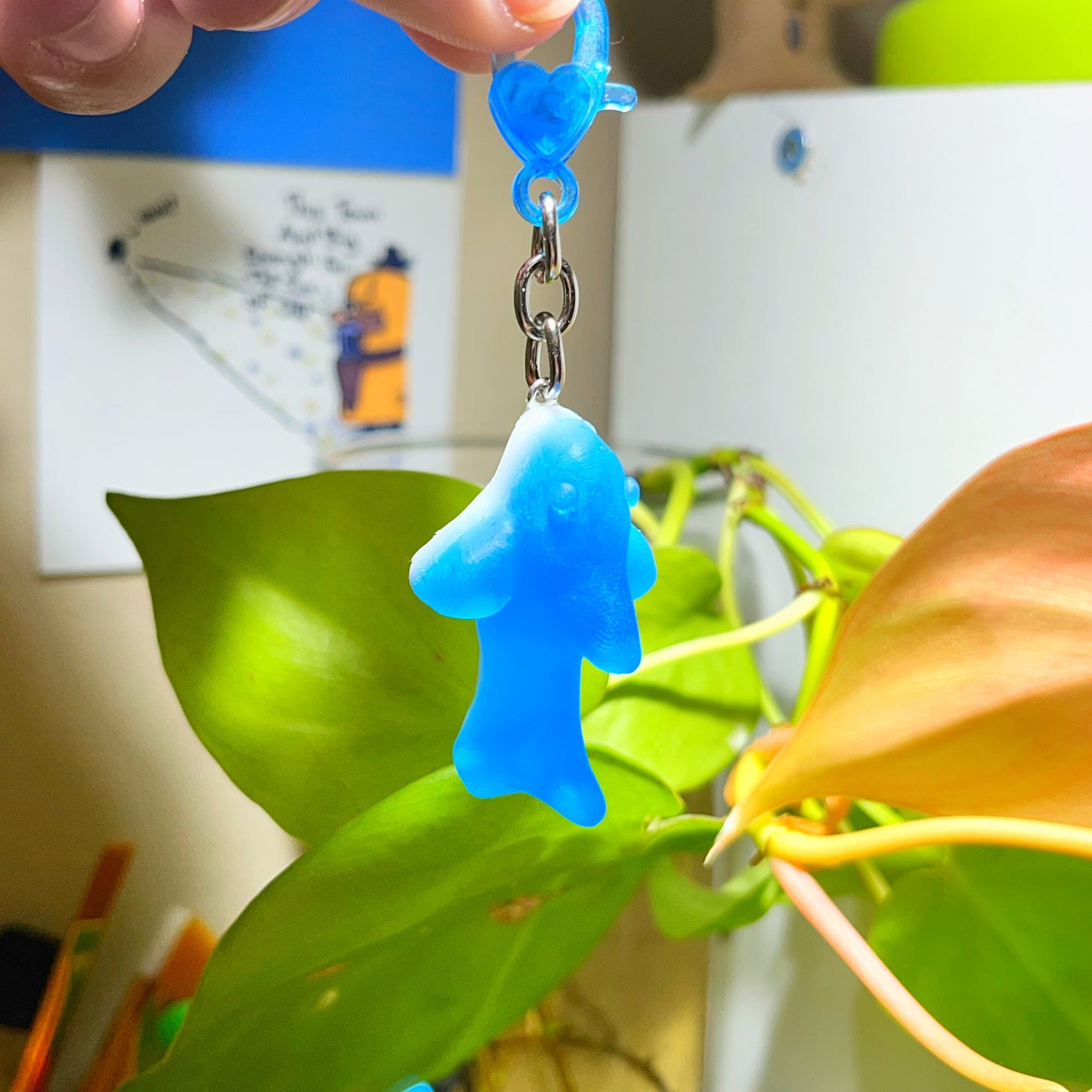 Gummy Shark🦈