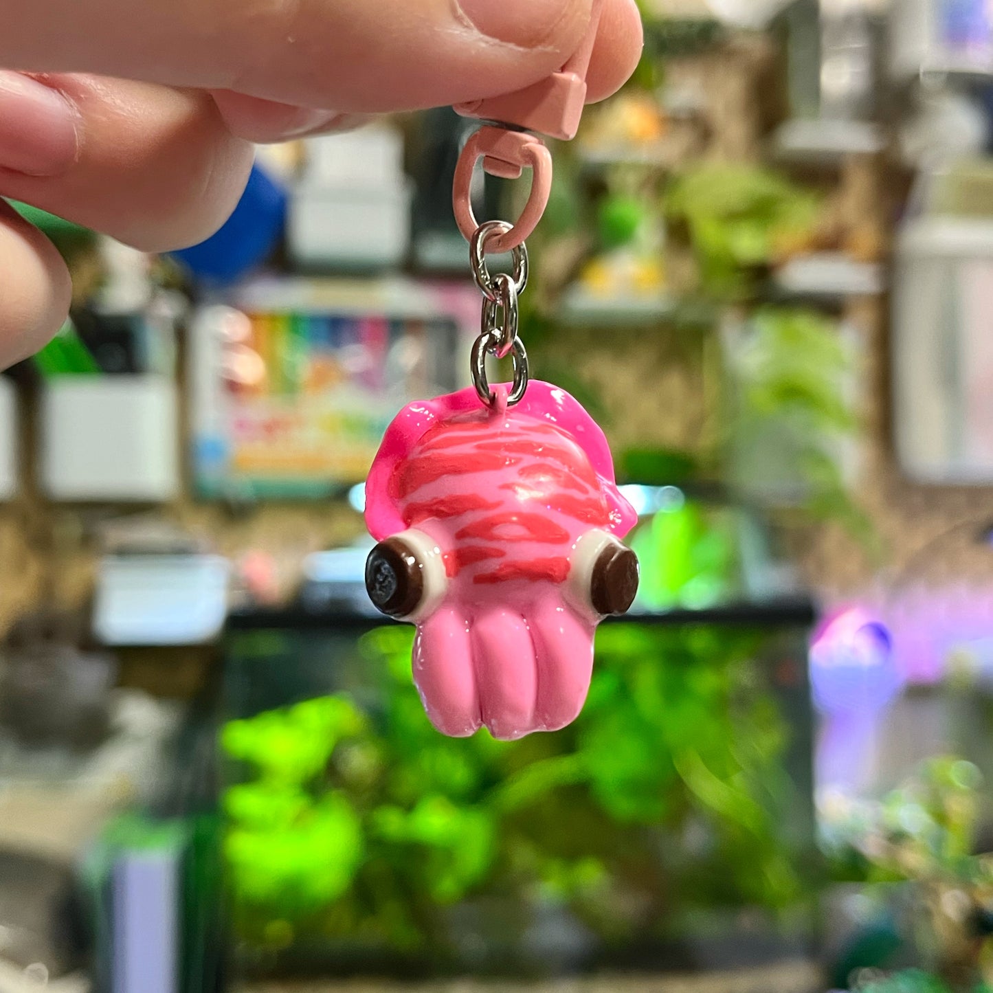Cuddle Fish🦑