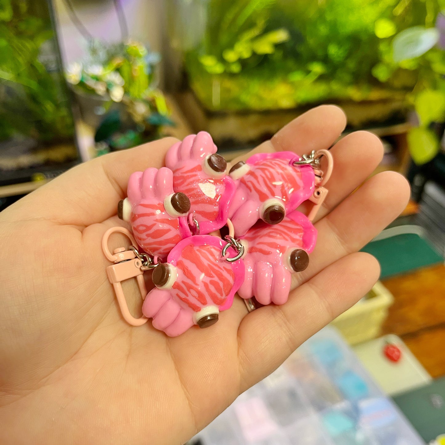 Cuddle Fish🦑