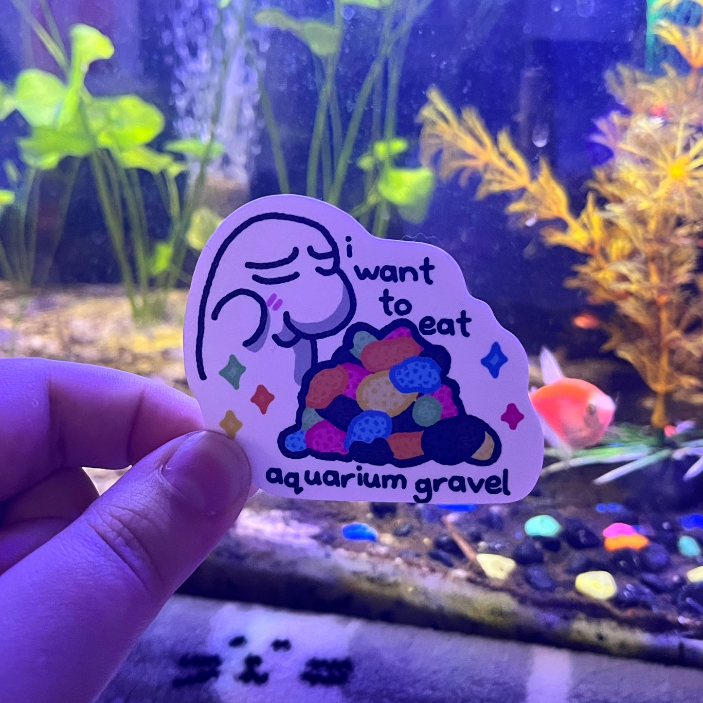 i want to eat aquarium gravel