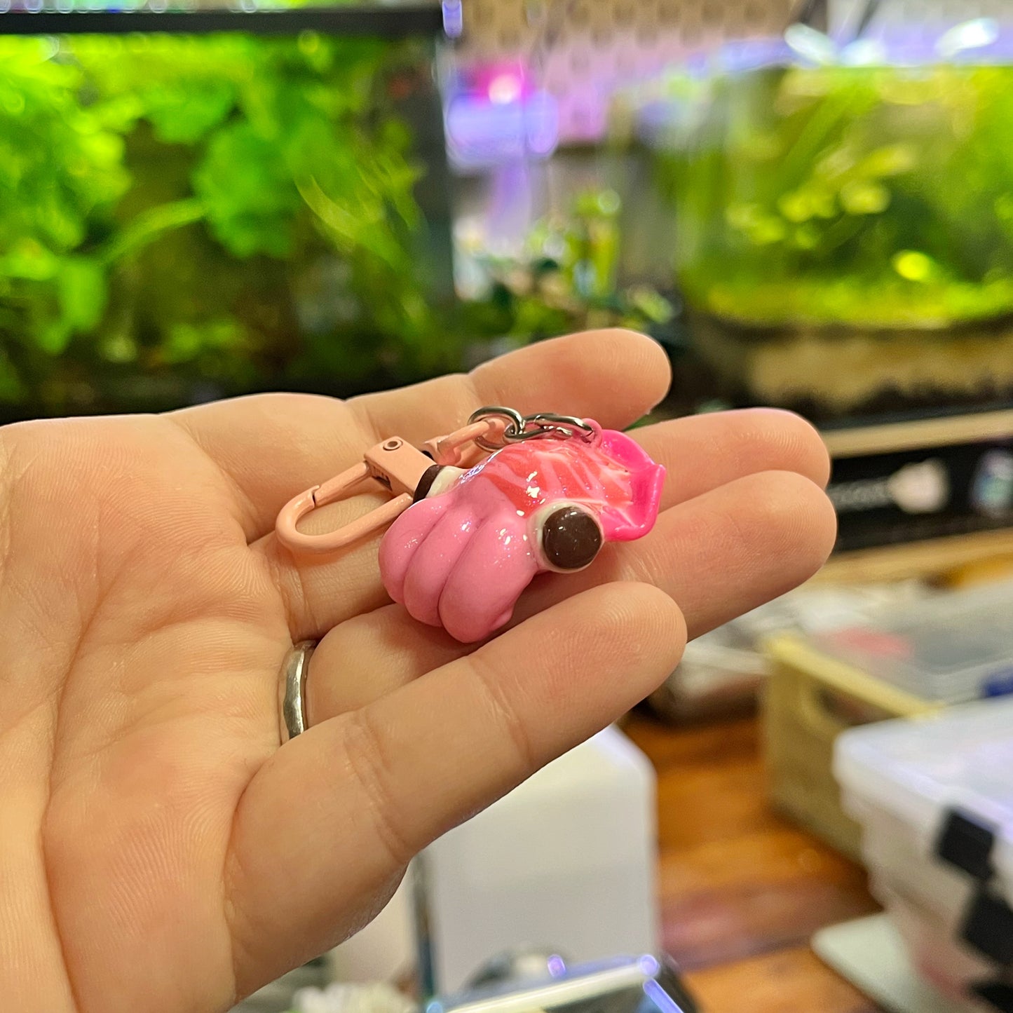 Cuddle Fish🦑