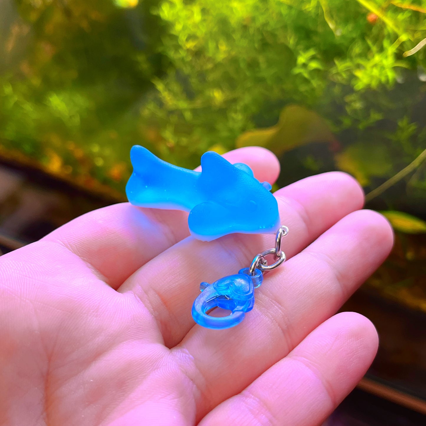 Gummy Shark🦈