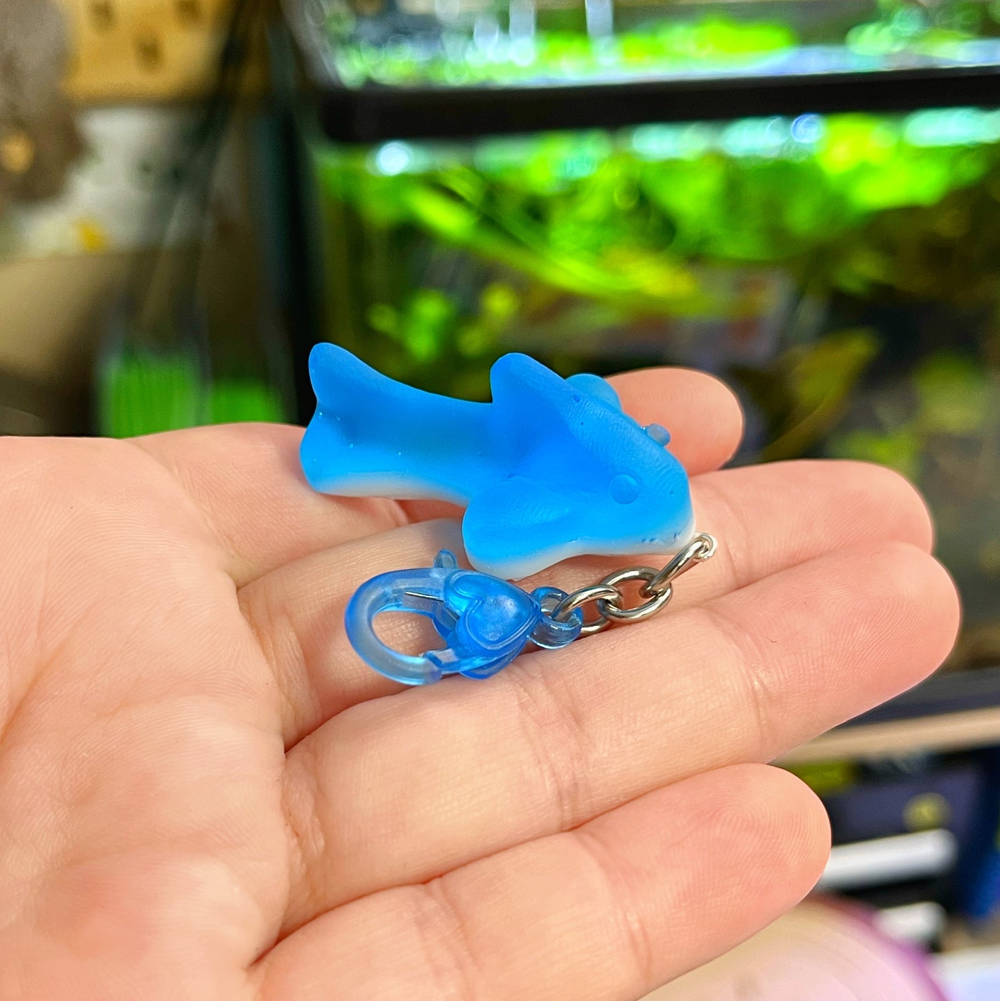 Gummy Shark🦈