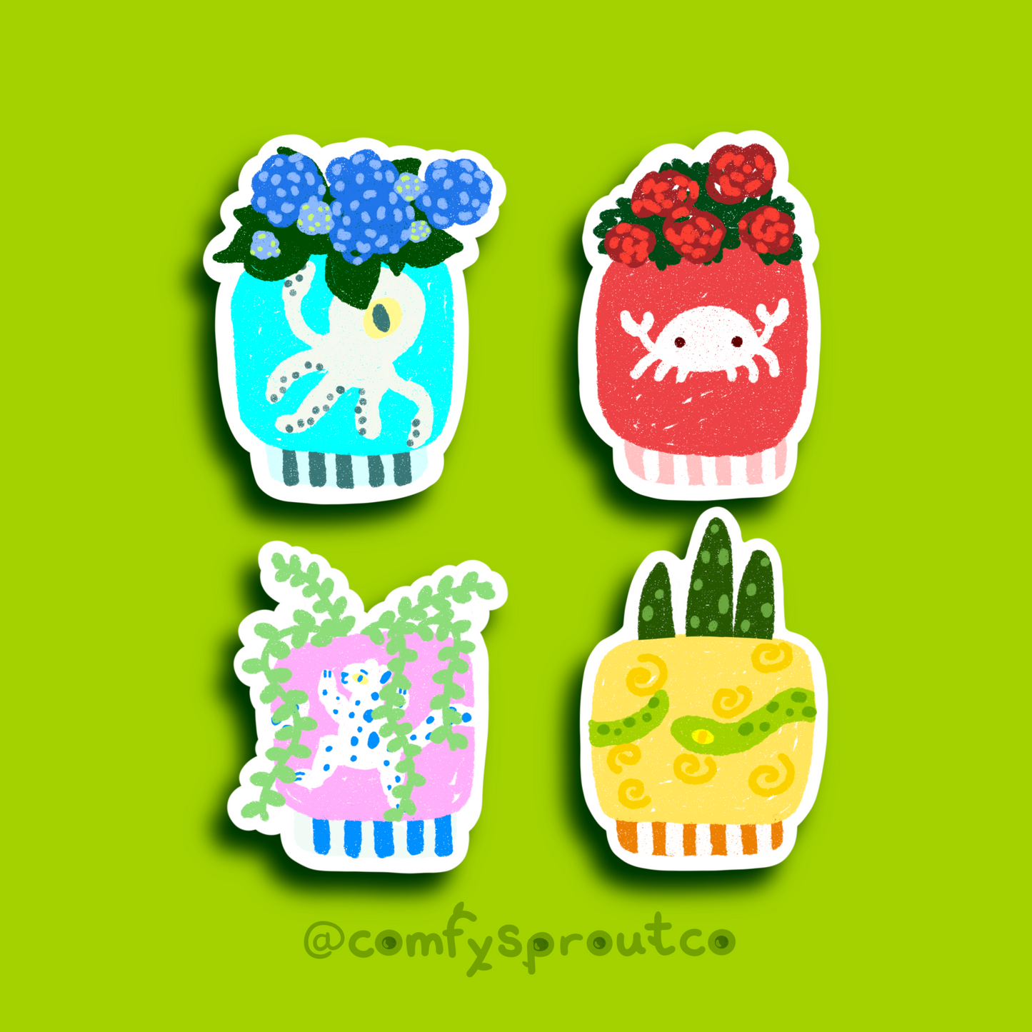 Potted Plants