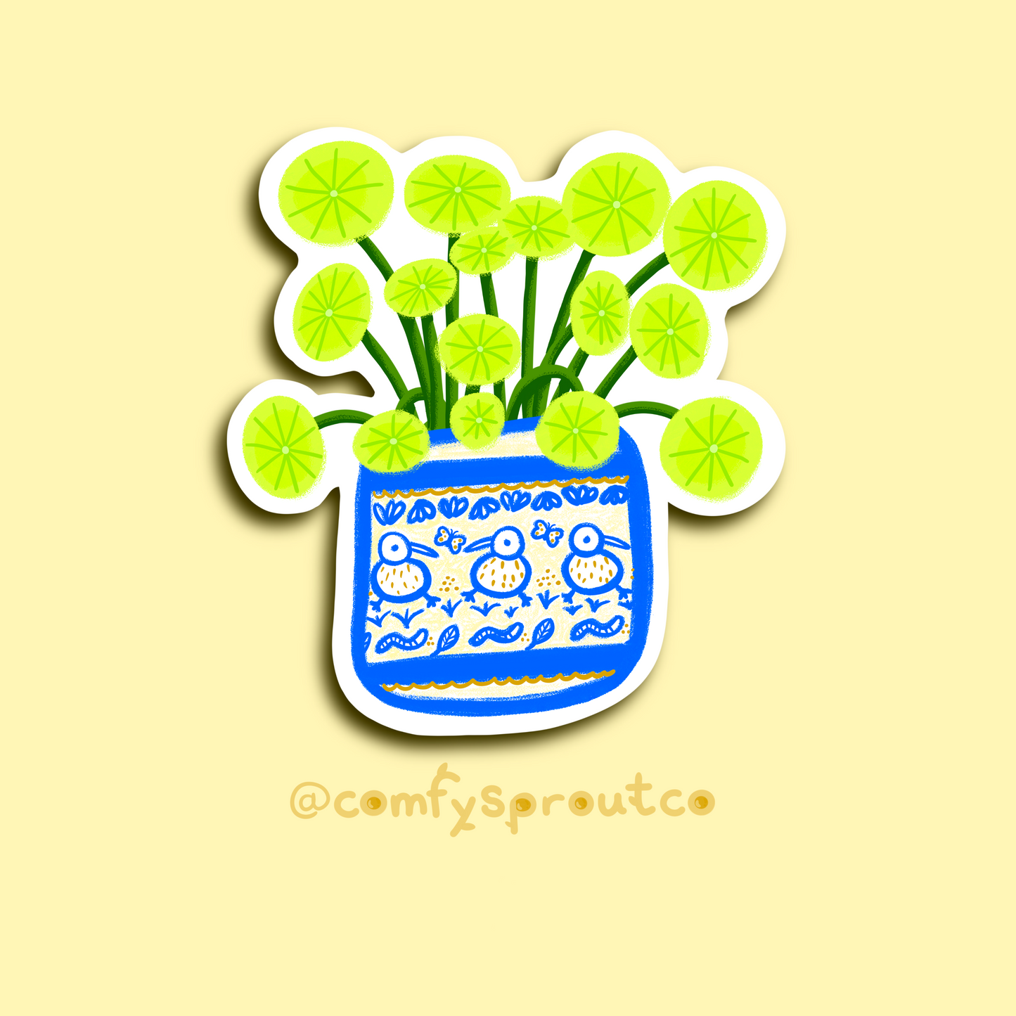 Pilea Potted Plant
