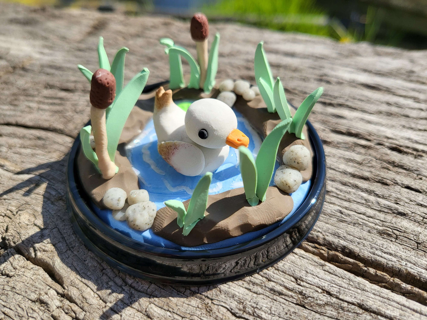 Duck Terrarium