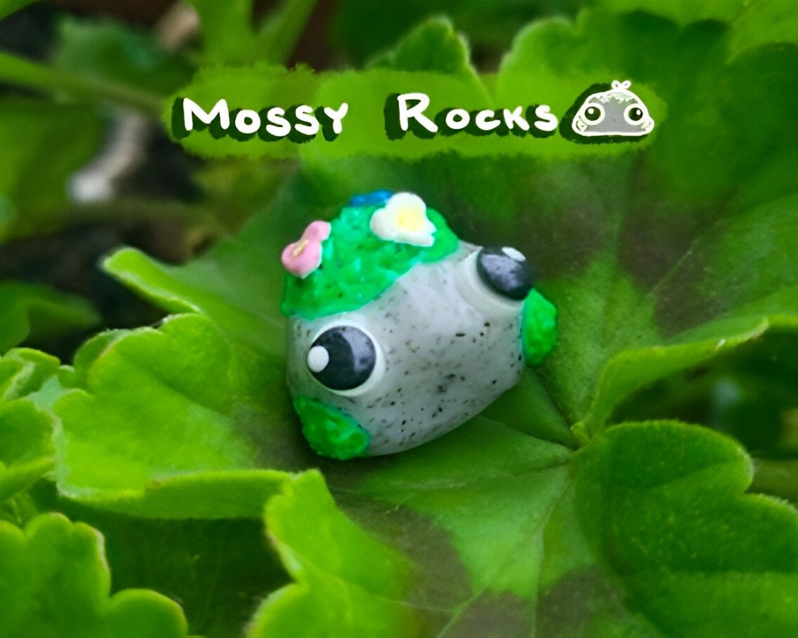 Mossy Rocks