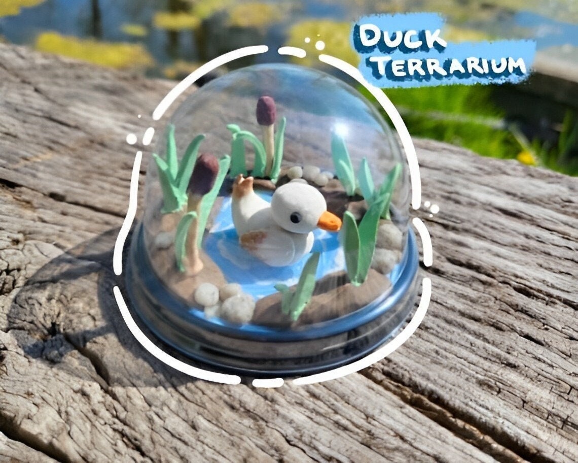 Duck Terrarium