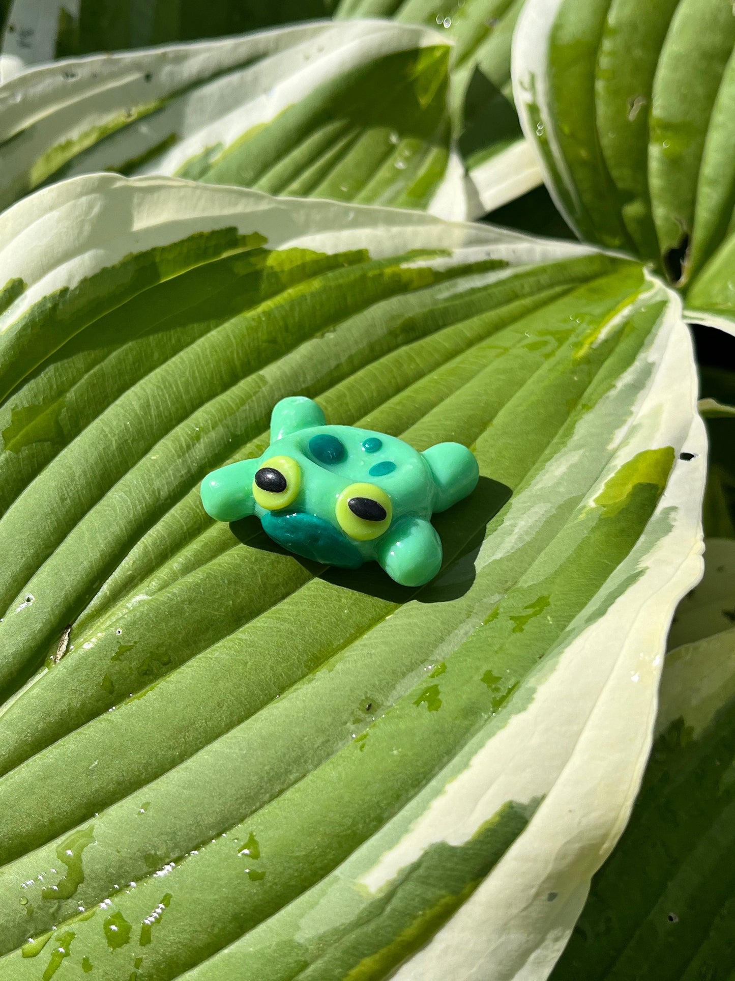 Frog Worry Stones