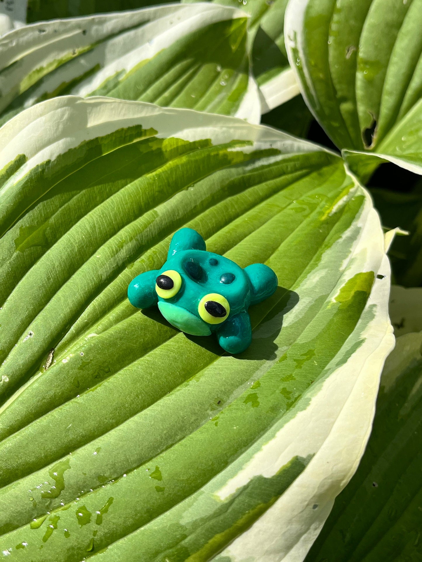 Frog Worry Stones