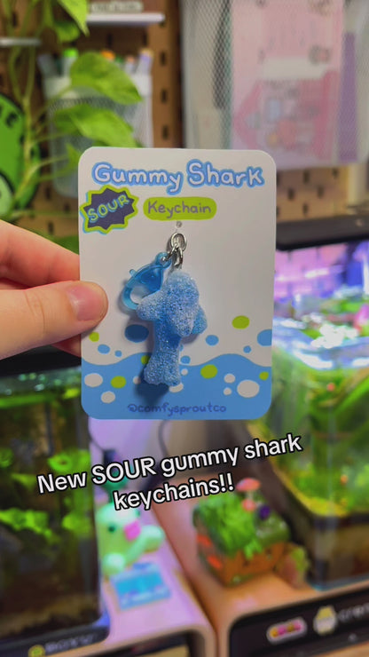 Sour Gummy Shark🦈