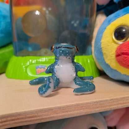 Cuddlefish🦑